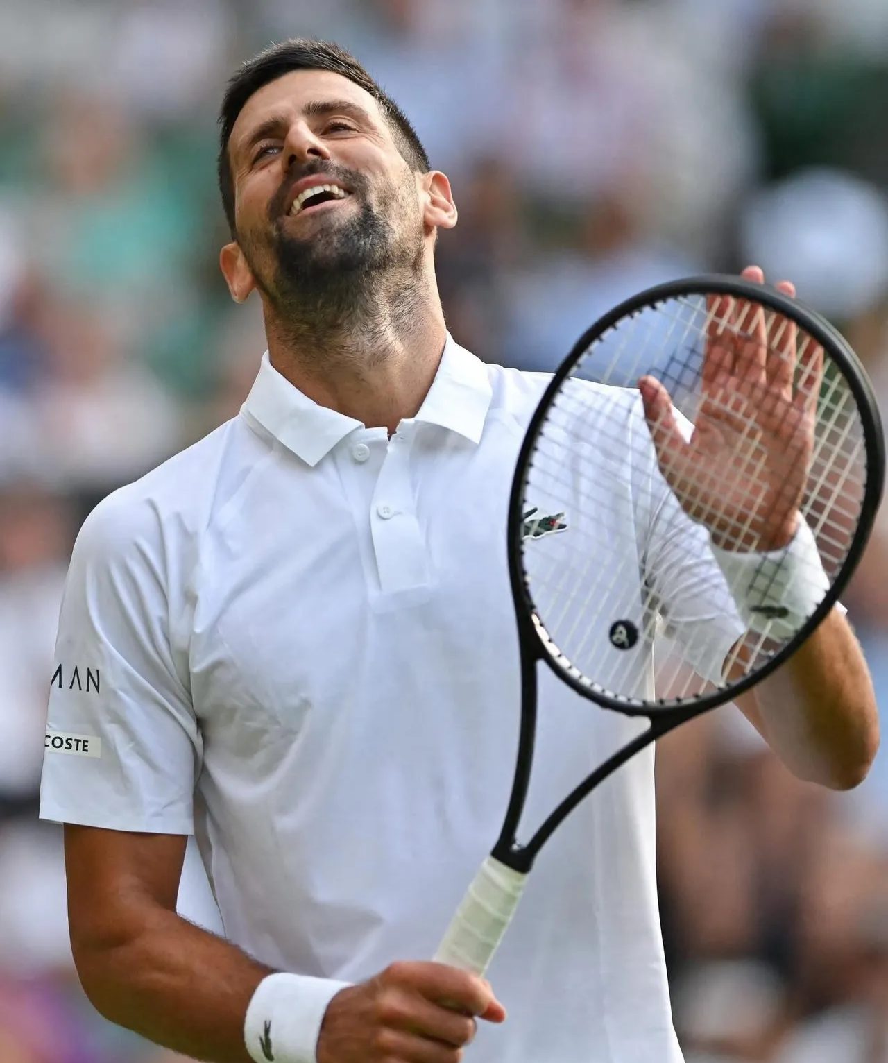 关于拉沃尔杯绝杀温网，德约科维奇惊艳四座的信息