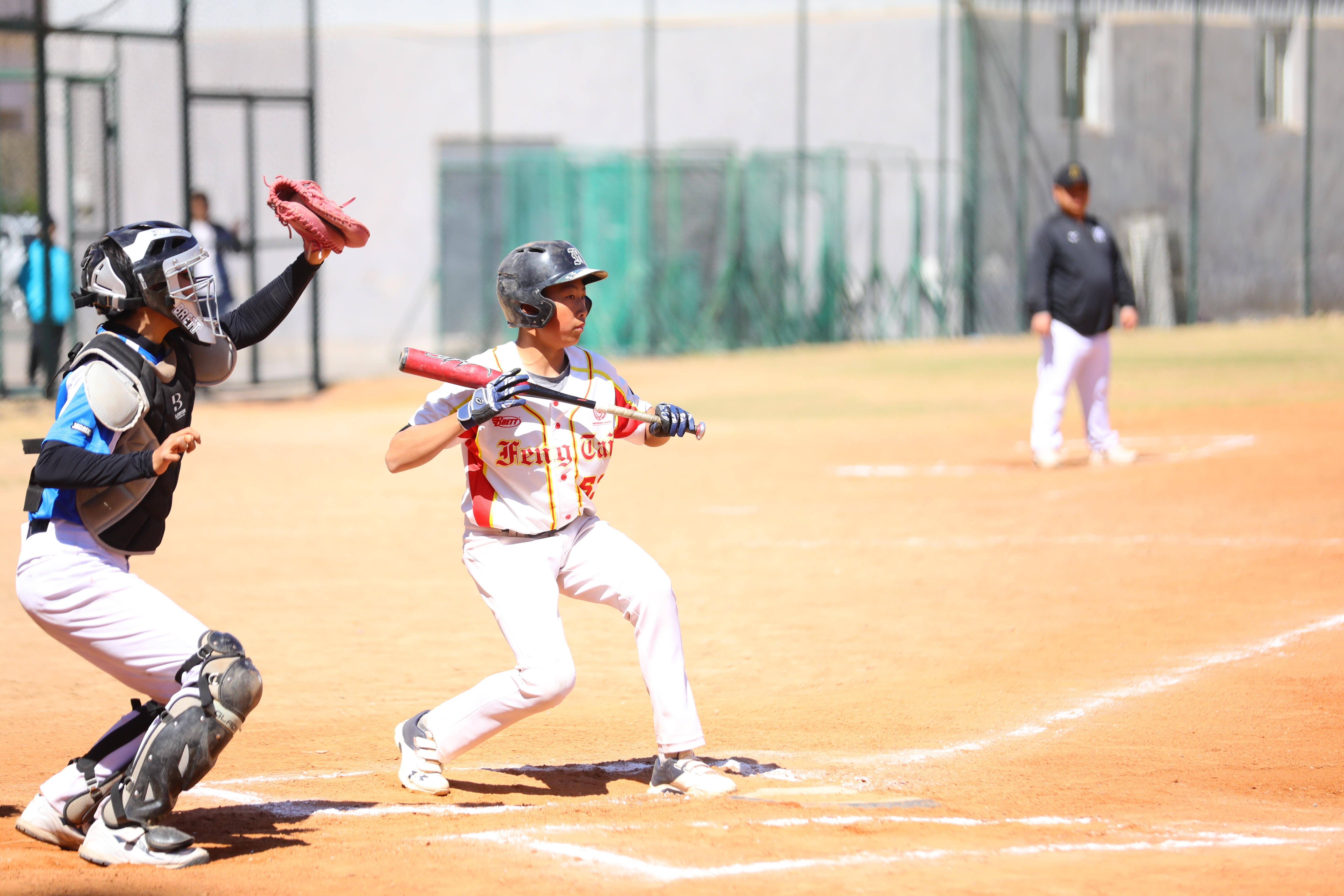 关于回顾棒球经典时刻:传奇再现的信息 关于回顾棒球经典时刻:传奇再现的信息