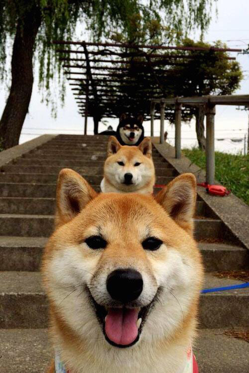 从摩纳哥到慕尼黑，足球战术的边际革命与新中场叙事