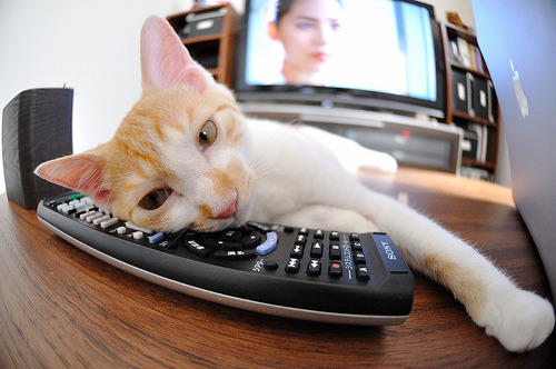 唯一性之光，阿尔瓦雷斯压力爆发引领阿尔及利亚生死战胜巴萨