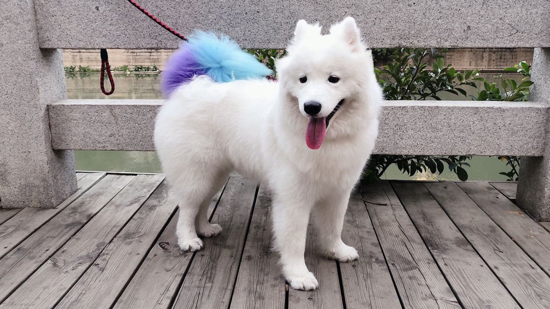 巨厦崩塌夜,孤胆英雄保罗如何以沉默拆解十一冠王朝