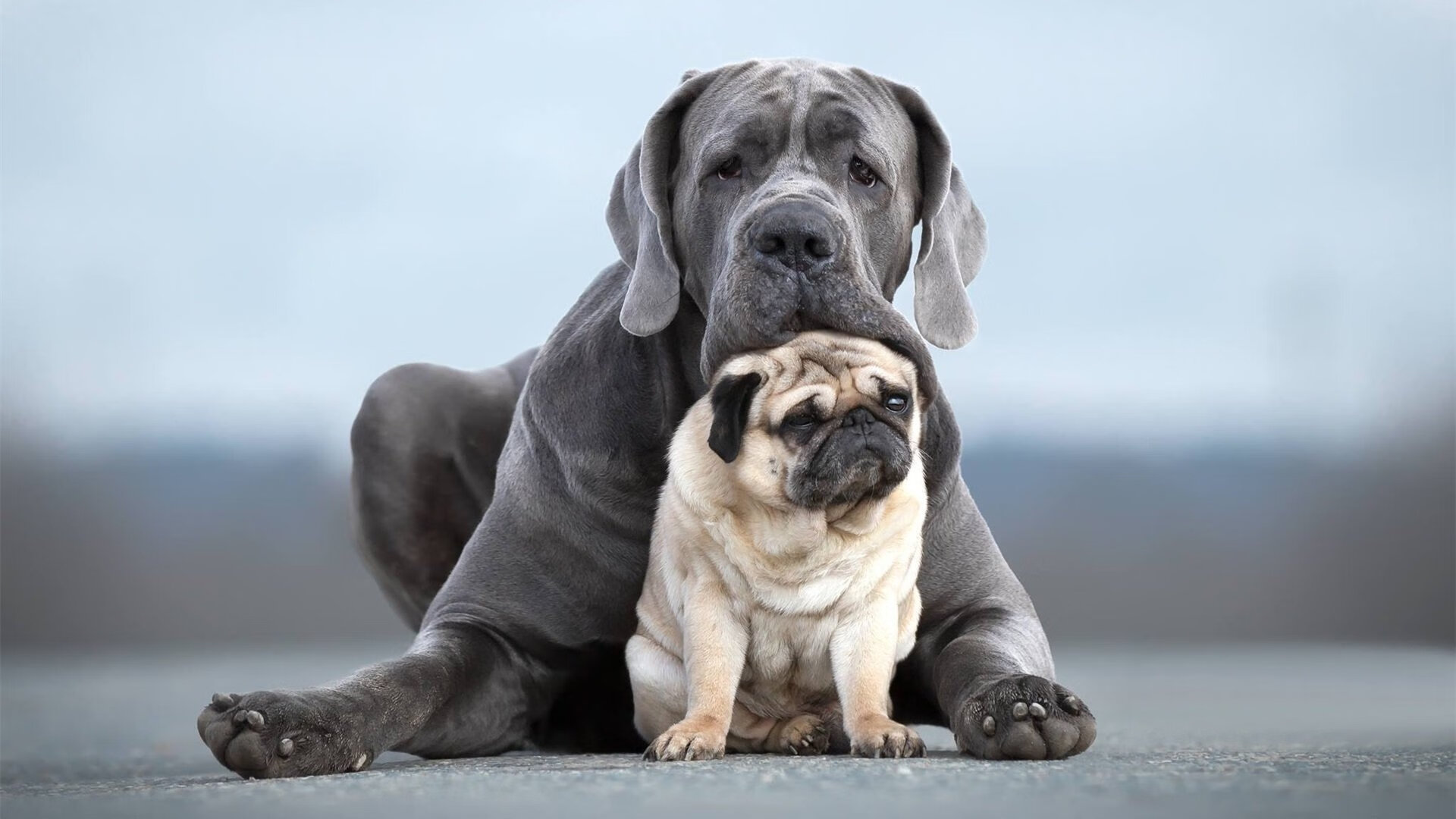 雷火电竞亚洲先驱-从隐形到主宰，西亚卡姆用最后90秒撕碎新疆，诠释何为大场面先生