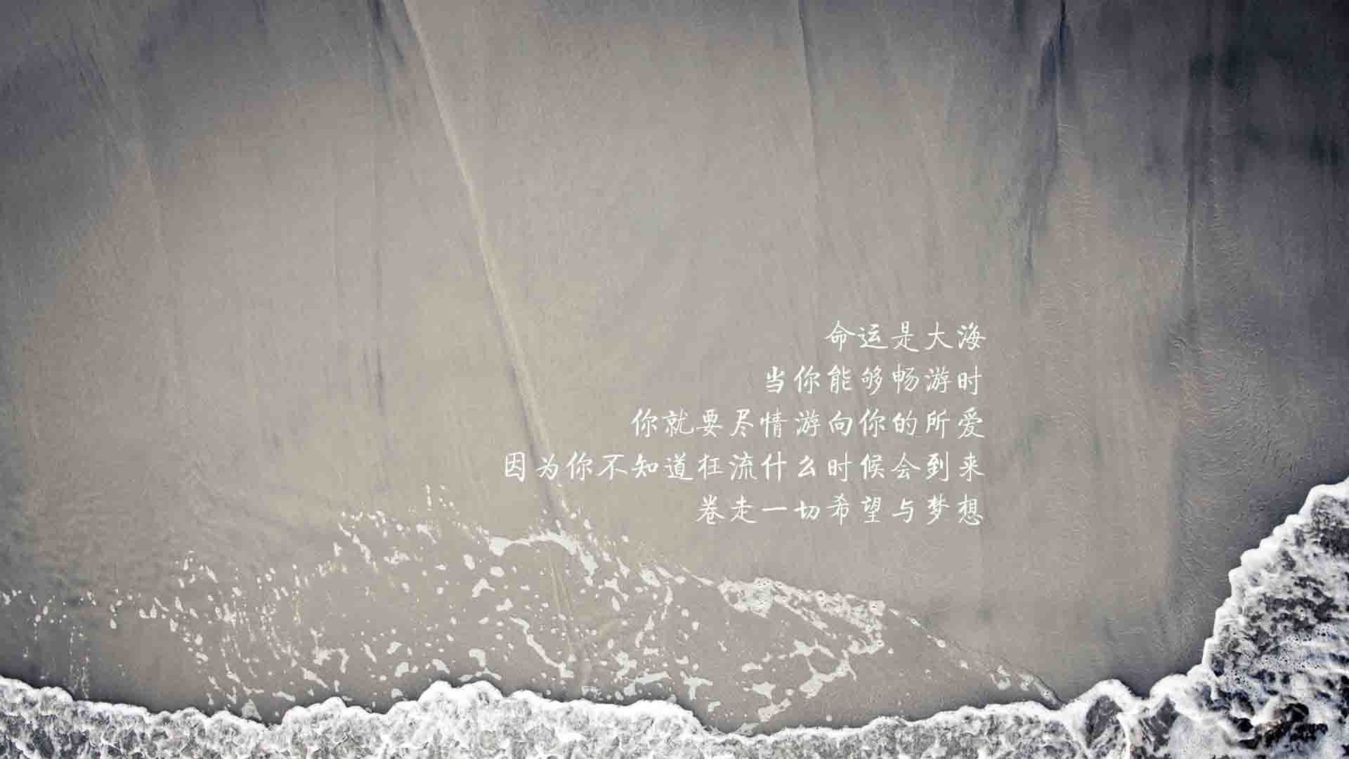 2026世界杯H组,匈牙利逆转韩国,佩德里致命一击与钢铁防线的完美交响