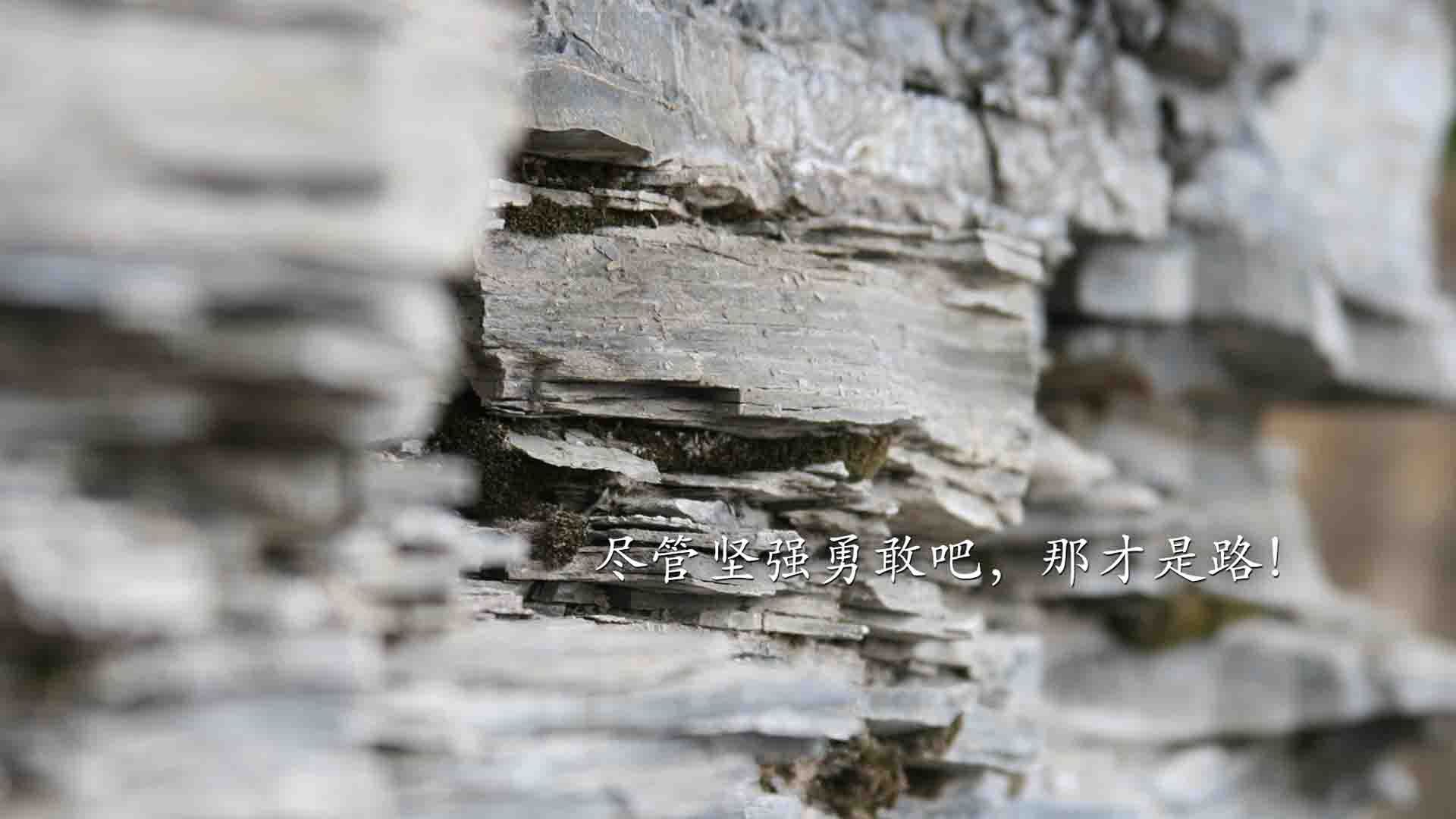 2026世界杯H组暗战，匈牙利铁幕压制韩国，范戴克铸就后防传奇
